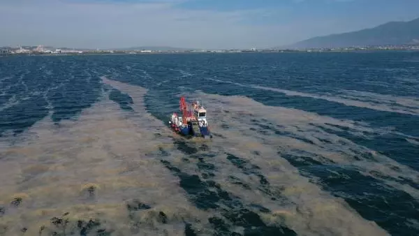 Deniz salyalarının toplandığı İzmit Körfezi, eski haline dönüyor Deniz salyalarının toplandığı İzmit Körfezi, eski haline dönüyor
