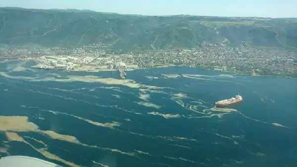 Deniz salyalarının toplandığı İzmit Körfezi, eski haline dönüyor Deniz salyalarının toplandığı İzmit Körfezi, eski haline dönüyor