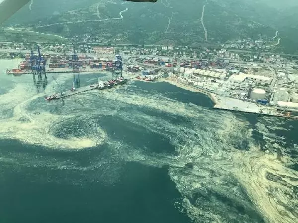 Deniz salyalarının toplandığı İzmit Körfezi, eski haline dönüyor Deniz salyalarının toplandığı İzmit Körfezi, eski haline dönüyor