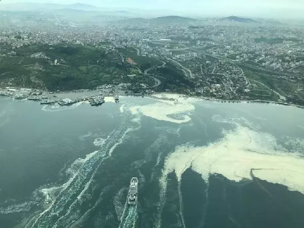 Deniz salyalarının toplandığı İzmit Körfezi, eski haline dönüyor Deniz salyalarının toplandığı İzmit Körfezi, eski haline dönüyor