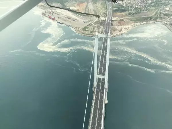 Deniz salyalarının toplandığı İzmit Körfezi, eski haline dönüyor Deniz salyalarının toplandığı İzmit Körfezi, eski haline dönüyor