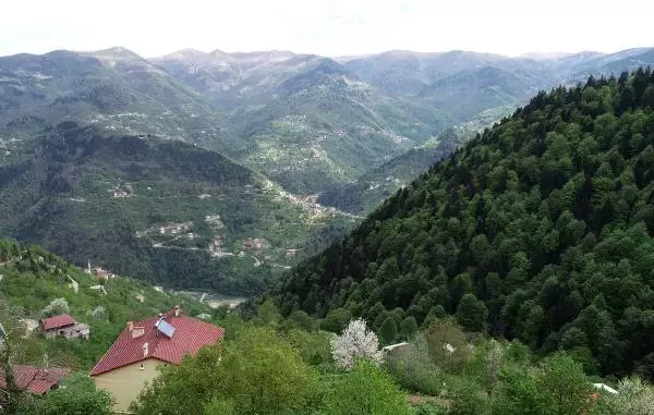 10 yıl önce aralarında tartışma yaşayan komşular, evlerine çıkabilmek için aynı yola 2 farklı merdiven yaptı 10 yıl önce aralarında tartışma yaşayan komşular, evlerine çıkabilmek için aynı yola 2 farklı merdiven yaptı