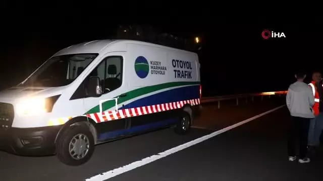 Lüks otomobil otoyolda önüne çıkan domuza çarparak şarampole uçtu: 6 yaralı Lüks otomobil otoyolda önüne çıkan domuza çarparak şarampole uçtu: 6 yaralı