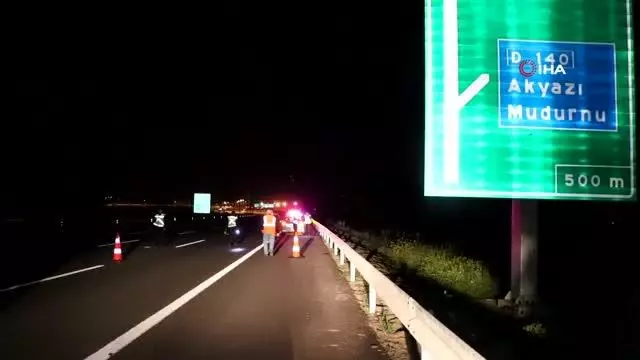 Yola bir anda fırlayan domuz aileyi yok ediyordu: 6 yaralı Yola bir anda fırlayan domuz aileyi yok ediyordu: 6 yaralı