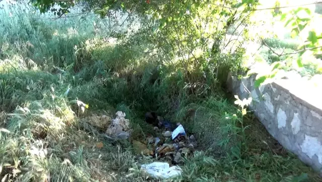Boş arsaya terkedilen 4 günlük bebek, hastanede yaşamını yitirdi Boş arsaya terkedilen 4 günlük bebek, hastanede yaşamını yitirdi