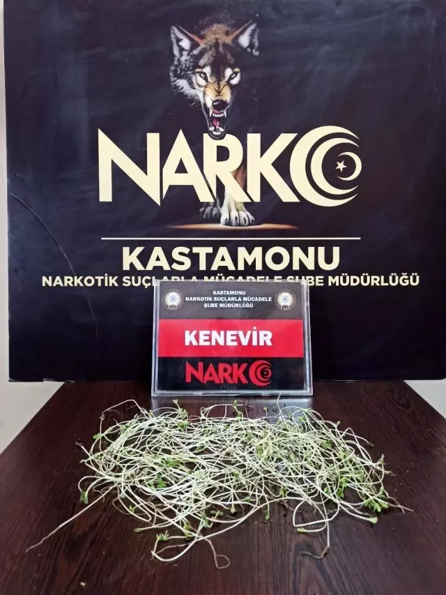 Narkotik ekiplerinden uyuşturucu satıcılarına 3 ayrı operasyon Narkotik ekiplerinden uyuşturucu satıcılarına 3 ayrı operasyon
