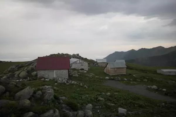 Rize'de 15 yayla evi yakıldı Rize'de 15 yayla evi yakıldı