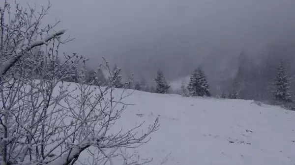 RİZE YAYLALARINDA MAYIS KARI RİZE YAYLALARINDA MAYIS KARI