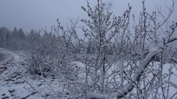RİZE YAYLALARINDA MAYIS KARI RİZE YAYLALARINDA MAYIS KARI
