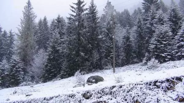 RİZE YAYLALARINDA MAYIS KARI RİZE YAYLALARINDA MAYIS KARI