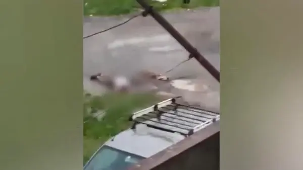 Son dakika! Rusya'da polise gözdağı vermeye çalıştığı bomba elinde patladı Son dakika! Rusya'da polise gözdağı vermeye çalıştığı bomba elinde patladı