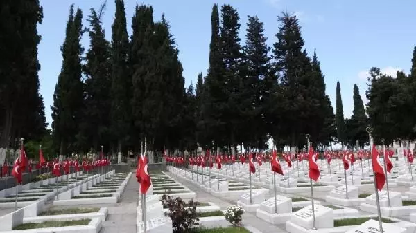 Son dakika haberleri: ŞEHİTLİKTEKİ SELVİ AĞAÇLARININ KESİLMESİNE TEPKİ Son dakika haberleri: ŞEHİTLİKTEKİ SELVİ AĞAÇLARININ KESİLMESİNE TEPKİ