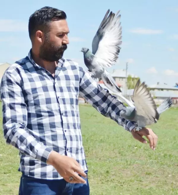 Yok böyle bir tutku! 300 güvercin için arazi satın alıp, 350 bin lira harcadı Yok böyle bir tutku! 300 güvercin için arazi satın alıp, 350 bin lira harcadı