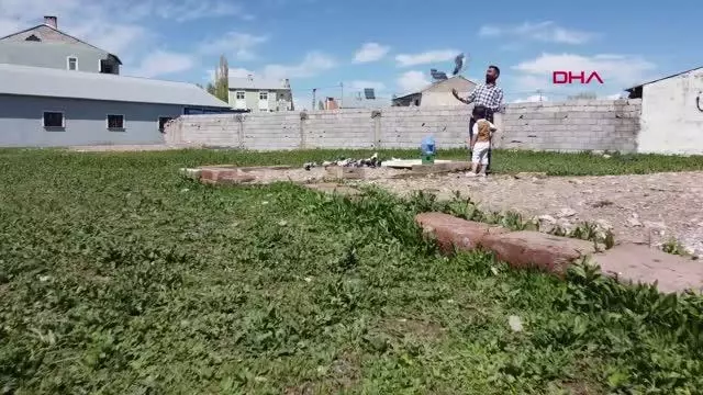 300 GÜVERCİNİ İÇİN ARAZİ SATIN ALIP, 350 BİN LİRA HARCADI 300 GÜVERCİNİ İÇİN ARAZİ SATIN ALIP, 350 BİN LİRA HARCADI