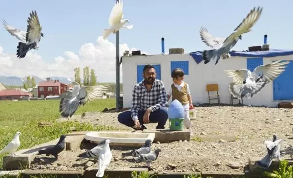 Yok böyle bir tutku! 300 güvercin için arazi satın alıp, 350 bin lira harcadı Yok böyle bir tutku! 300 güvercin için arazi satın alıp, 350 bin lira harcadı