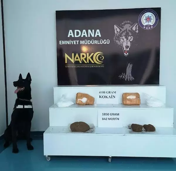 Adana'daki 'torbacı' operasyonlarında 16 kişi tutuklandı Adana'daki 'torbacı' operasyonlarında 16 kişi tutuklandı