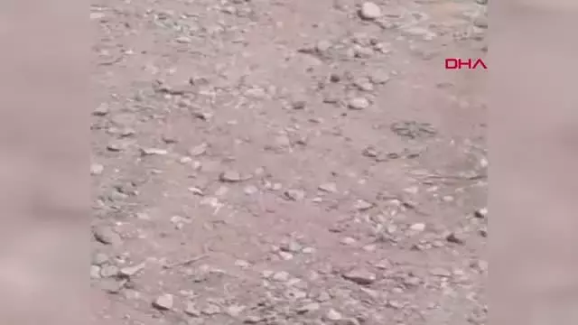 ANTALYA KOMŞUSUNUN KARDEŞİNİ TÜFEKLE VURAN ADAMA EV HAPSİ