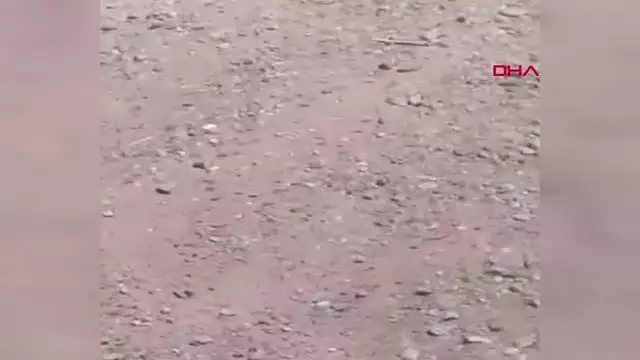 ANTALYA KOMŞUSUNUN KARDEŞİNİ TÜFEKLE VURAN ADAMA EV HAPSİ