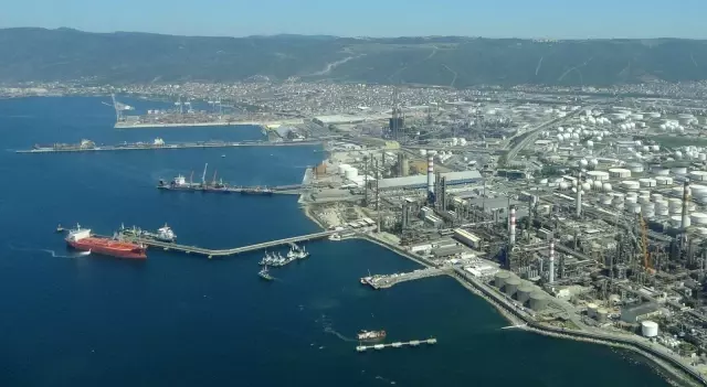 Balıkçıların korkulu rüyası İzmit Körfezi'ni büyük oranda terk etti Balıkçıların korkulu rüyası İzmit Körfezi'ni büyük oranda terk etti