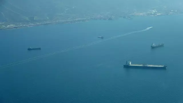 Balıkçıların korkulu rüyası İzmit Körfezi'ni büyük oranda terk etti Balıkçıların korkulu rüyası İzmit Körfezi'ni büyük oranda terk etti
