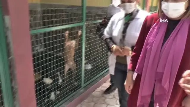Başkan Şahin'den hayvan barınağına ziyaret Başkan Şahin'den hayvan barınağına ziyaret