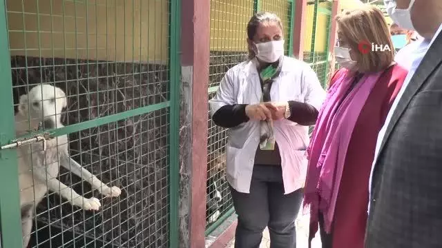 Başkan Şahin'den hayvan barınağına ziyaret Başkan Şahin'den hayvan barınağına ziyaret