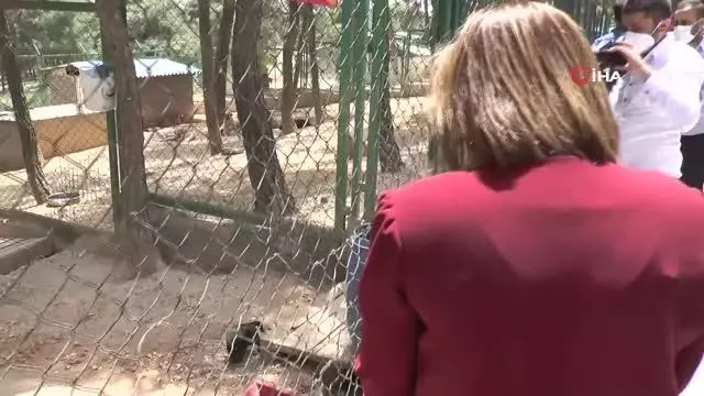 Başkan Şahin'den hayvan barınağına ziyaret Başkan Şahin'den hayvan barınağına ziyaret