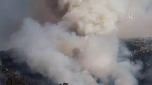 Çardak'taki orman yangını kontrol altına alındı Çardak'taki orman yangını kontrol altına alındı