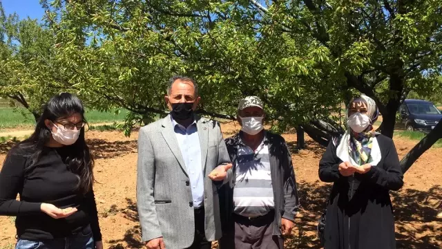 - Darende'de çiftçilerin don mağduriyeti - Darende'de çiftçilerin don mağduriyeti