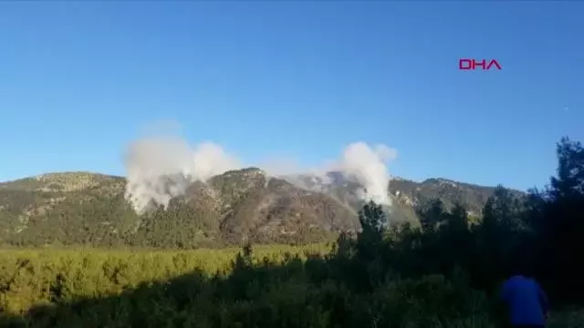 Denizli'de orman yangını Denizli'de orman yangını
