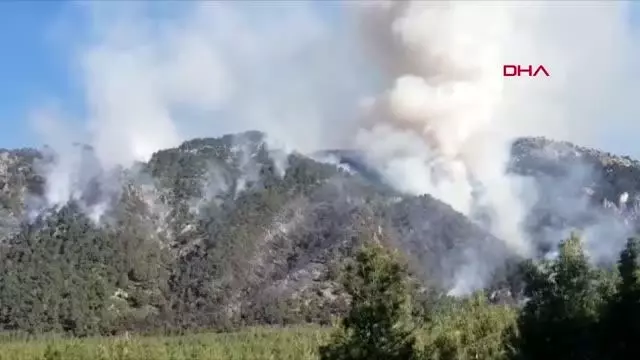 Denizli'de orman yangını Denizli'de orman yangını