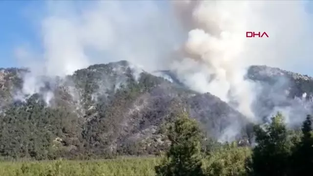 Denizli'de orman yangını Denizli'de orman yangını