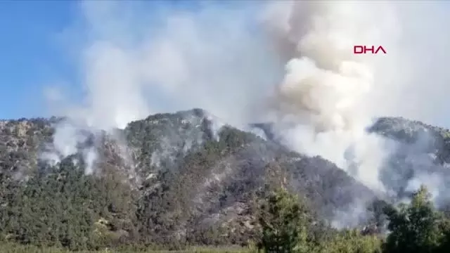 Denizli'de orman yangını Denizli'de orman yangını