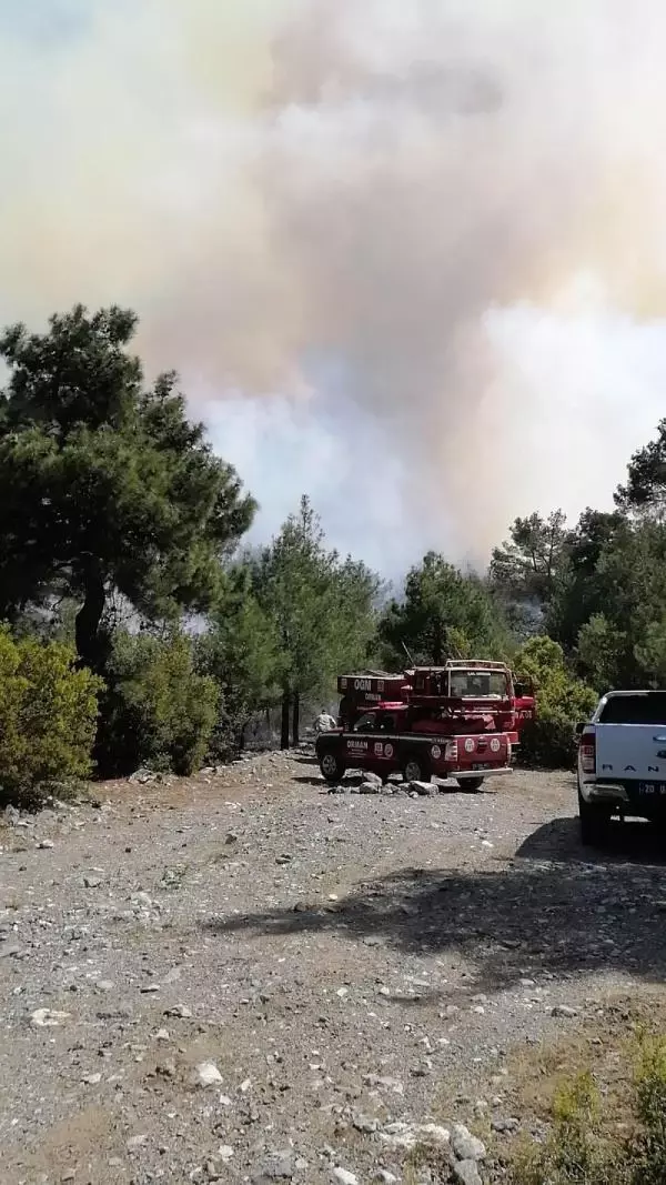 Denizli'de orman yangını Denizli'de orman yangını