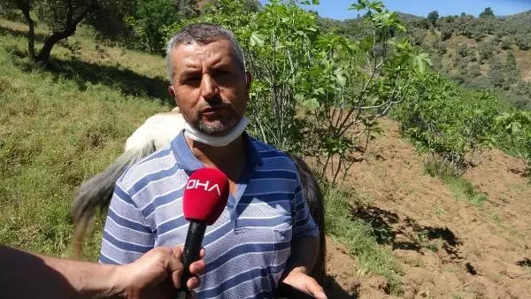 Emeklilik ikramiyesini dakikalar içinde telefon dolandırıcılarına kaptırdı Emeklilik ikramiyesini dakikalar içinde telefon dolandırıcılarına kaptırdı