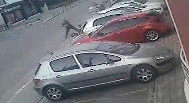 eski kocasinin beyzbol sopasiyla darp ettigi 2 14126999 o