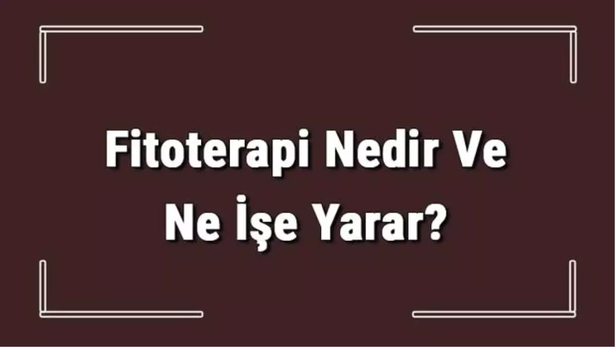 Fitoterapi Nedir ve Ne İşe Yarar? Fitoterapi Nasıl Yapılır ve Uygulanır