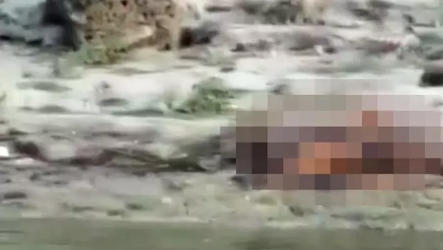 Hindistan'ın Ganj Nehri kıyısına 71 cansız beden vurdu Hindistan'ın Ganj Nehri kıyısına 71 cansız beden vurdu