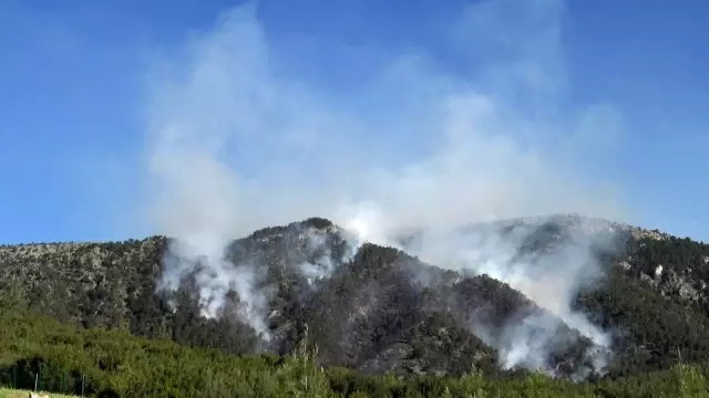 Kısıtlamada mangal yakan 3 kafadar 5 hektar ormanı kül etti Kısıtlamada mangal yakan 3 kafadar 5 hektar ormanı kül etti