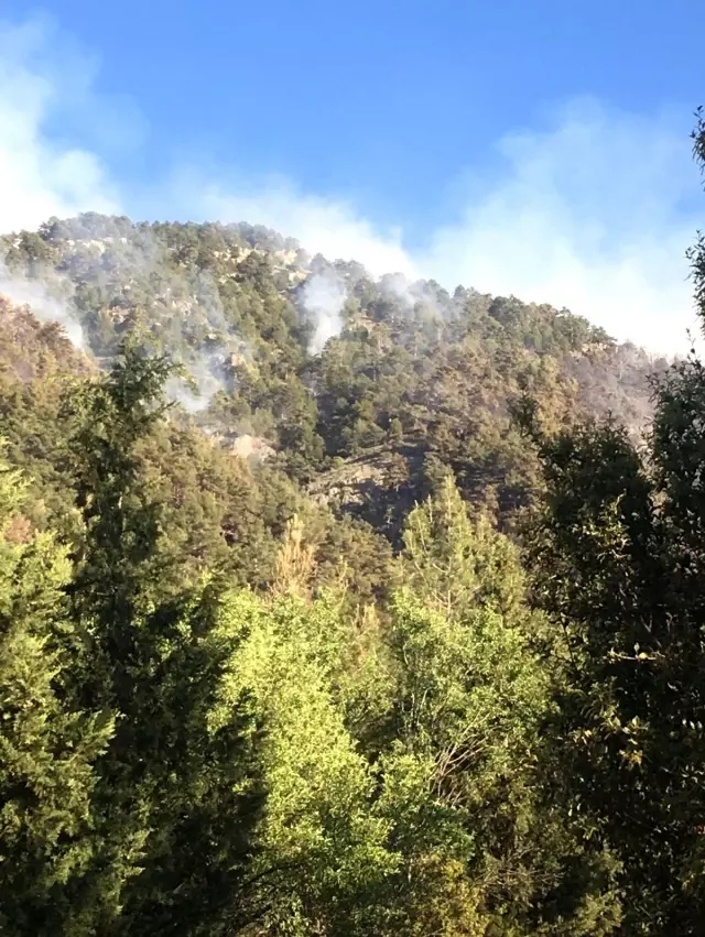 Kısıtlamada mangal yakan 3 kafadar 5 hektar ormanı kül etti Kısıtlamada mangal yakan 3 kafadar 5 hektar ormanı kül etti