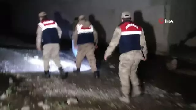 Kaçak avlanılan 200 kilo canlı balıklar tekrar suya bırakıldı Kaçak avlanılan 200 kilo canlı balıklar tekrar suya bırakıldı