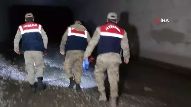 Kaçak avlanılan 200 kilo canlı balıklar tekrar suya bırakıldı Kaçak avlanılan 200 kilo canlı balıklar tekrar suya bırakıldı