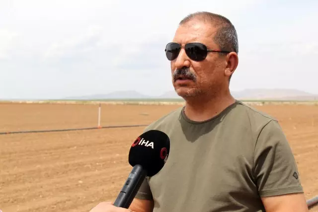 Mardin'de mısır yerine alternatif olarak yer fıstığı yetiştirilmesi için çalışmalar başladı Mardin'de mısır yerine alternatif olarak yer fıstığı yetiştirilmesi için çalışmalar başladı