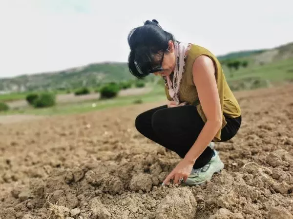 Paris'te okuyup memleketi Tunceli'ye döndü! Aspir üretiminden 4 ayda 150 bin lira kazanacak Paris'te okuyup memleketi Tunceli'ye döndü! Aspir üretiminden 4 ayda 150 bin lira kazanacak