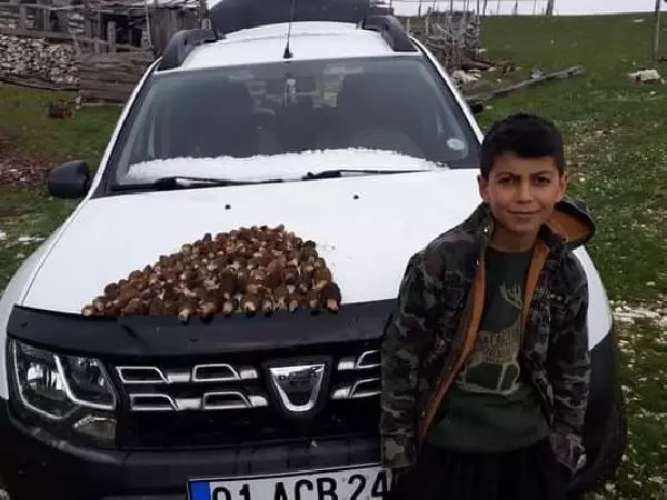 Traktör kazasında ölen Arda, toprağa verildi Traktör kazasında ölen Arda, toprağa verildi