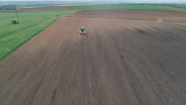 Üretim izni alınan 'yerli hibrit ayçiçeği tohumları' toprakla buluşturuldu Üretim izni alınan 'yerli hibrit ayçiçeği tohumları' toprakla buluşturuldu