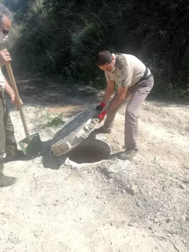 Yavru yaban domuzu böyle kurtarıldı