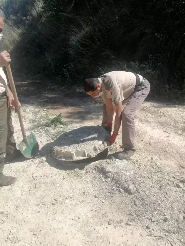Yavru yaban domuzu böyle kurtarıldı