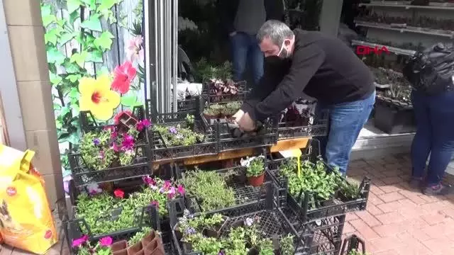 ZONGULDAK TAM KAPANMA FİDE SATIŞLARINI ARTTIRDI ZONGULDAK TAM KAPANMA FİDE SATIŞLARINI ARTTIRDI