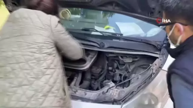 Aracın motoruna giren yavru kedi mahalleliyi seferber etti Aracın motoruna giren yavru kedi mahalleliyi seferber etti